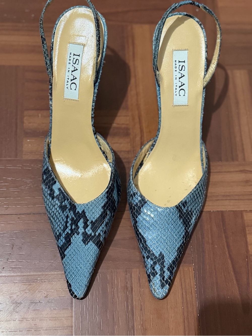 ISAAC Blue Snake-Print Pointed Slingback Heels
